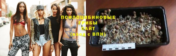 спиды Ельня