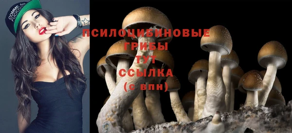 дживик Елизово