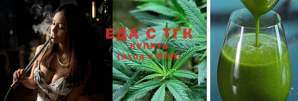 спиды Ельня