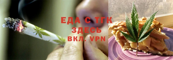 спиды Ельня