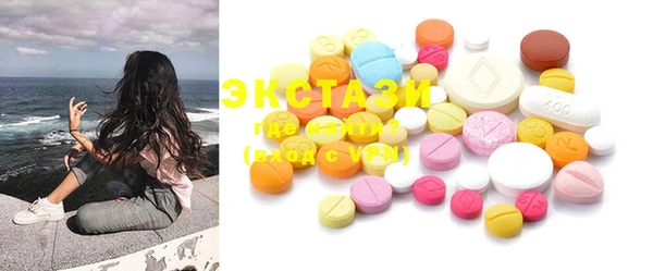 спиды Ельня