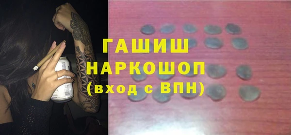 спиды Ельня