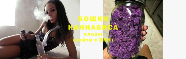 дживик Елизово