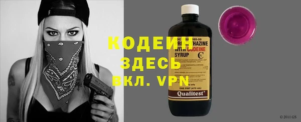 спиды Ельня