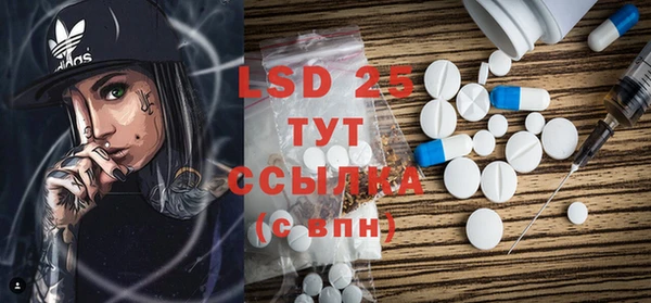 спиды Ельня