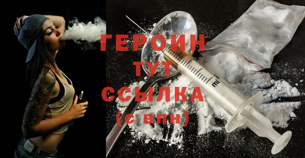 спиды Ельня