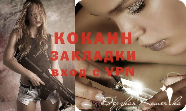 дживик Елизово