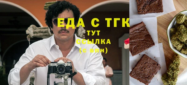спиды Ельня