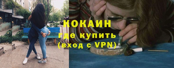 дживик Елизово