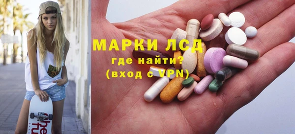 спиды Ельня